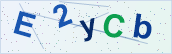 Security characters to type